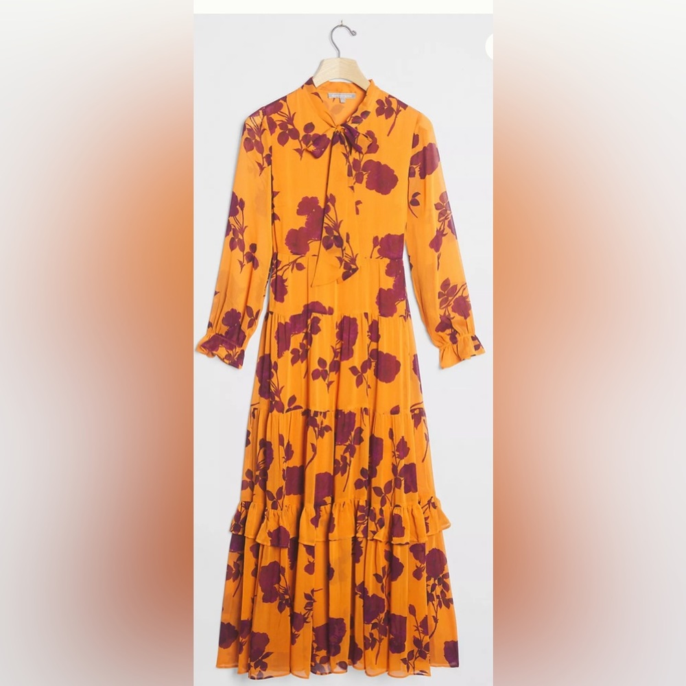 Daniel Rainn Rosalita Sheer Maxi Dress